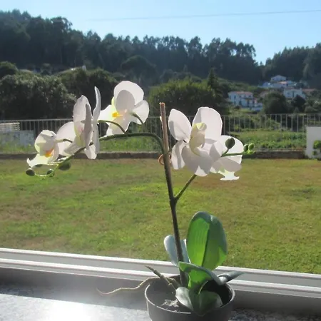 Ferienhaus Al Casa De Sao Roque